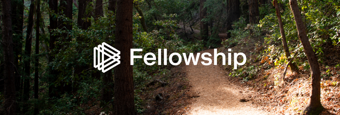 Paradigm Fellowship banner